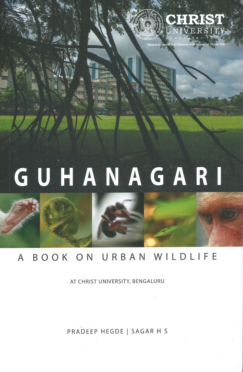 Front Cover of Book GUHANAGARI